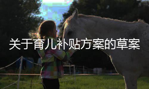 關(guān)于育兒補(bǔ)貼方案的草案擬定與解析