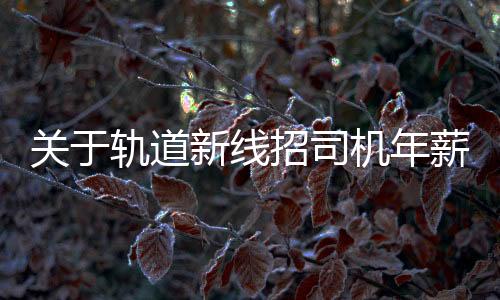 關(guān)于軌道新線招司機年薪8-10萬的辟謠文章