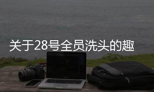 關(guān)于28號全員洗頭的趣事與思考