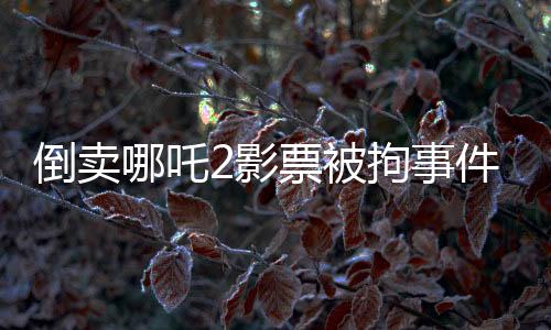 倒賣(mài)哪吒2影票被拘事件曝光深度剖析非法票務(wù)市場(chǎng)的內(nèi)幕