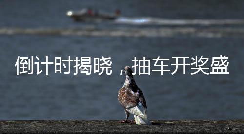 倒計時揭曉，抽車開獎盛宴即將開啟！