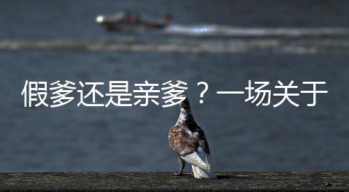 假爹還是親爹？一場(chǎng)關(guān)于認(rèn)錯(cuò)父親后的深刻道歉之旅