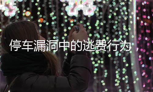 停車漏洞中的逃費(fèi)行為，揭秘71次違規(guī)停車逃費(fèi)事件