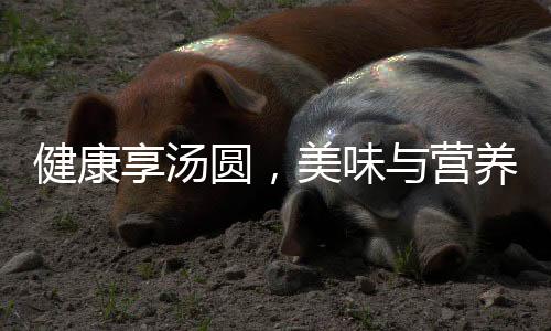 健康享湯圓，美味與營養(yǎng)并存——如何吃湯圓才健康