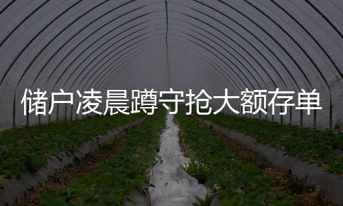 儲戶凌晨蹲守搶大額存單，銀行門前的守候與期待