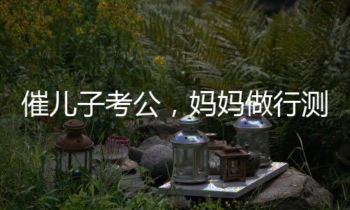 催兒子考公，媽媽做行測后放棄雞娃