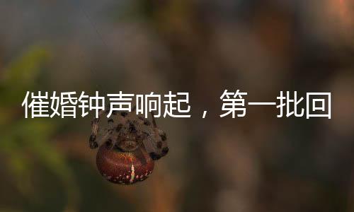 催婚鐘聲響起，第一批回家過年的人故事揭曉