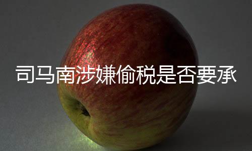 司馬南涉嫌偷稅是否要承擔刑事責任？深入解讀相關(guān)議題