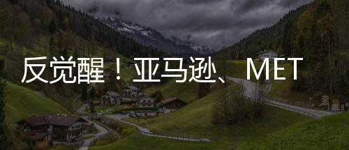 反覺醒！亞馬遜、META等大公司開始拋棄DEI