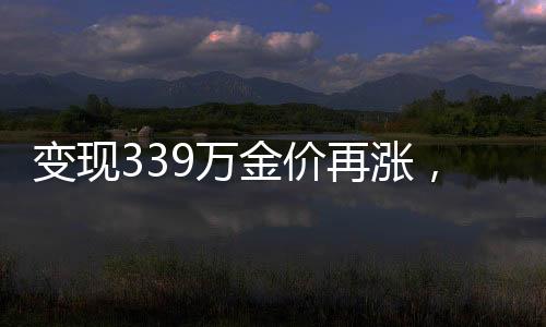 變現(xiàn)339萬金價再漲，市場走勢分析與未來展望