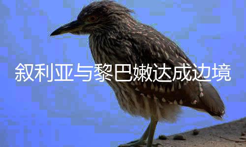 敘利亞與黎巴嫩達成邊境?；饏f(xié)議，兩國邁向和平的新篇章