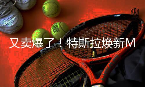 又賣爆了！特斯拉煥新Model Y上市 起價26.3萬元