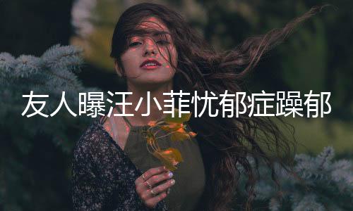 友人曝汪小菲憂郁癥躁郁癥復(fù)發(fā)，引發(fā)社會(huì)關(guān)注