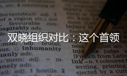 雙曉組織對比：這個(gè)首領(lǐng)真要革命
