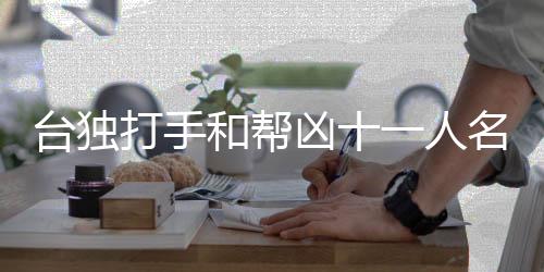 臺獨打手和幫兇十一人名單公布，揭示臺獨分子丑陋真面目