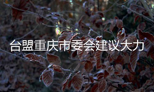 臺盟重慶市委會建議大力開展涉臺教育進(jìn)校園活動