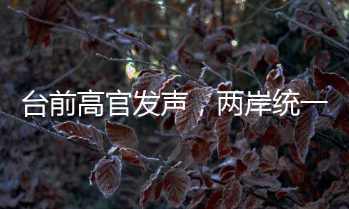 臺前高官發(fā)聲，兩岸統(tǒng)一的時刻越來越近