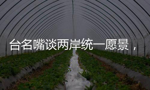 臺名嘴談兩岸統(tǒng)一愿景，甘之如飴，期待全面實現(xiàn)