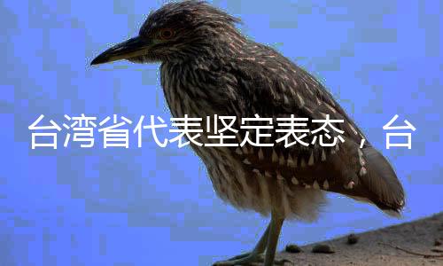 臺灣省代表堅定表態(tài)，臺灣最大的靠山就是祖國