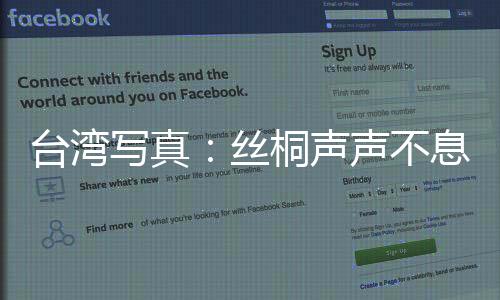 臺(tái)灣寫(xiě)真：絲桐聲聲不息 古琴在臺(tái)灣民間傳承
