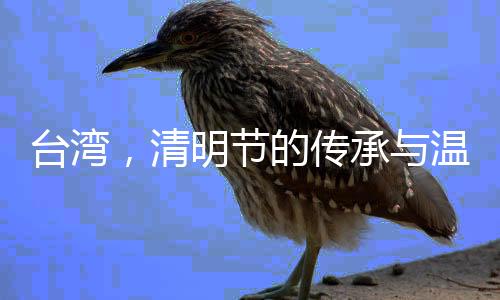 臺灣，清明節(jié)的傳承與溫情