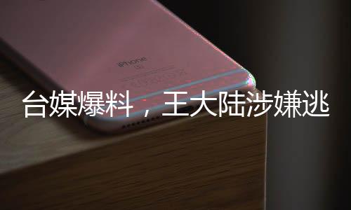 臺媒爆料，王大陸涉嫌逃兵役被捕事件始末