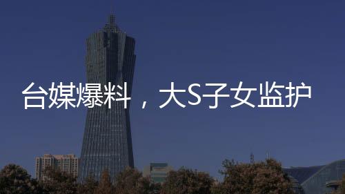 臺媒爆料，大S子女監(jiān)護(hù)權(quán)移交汪小菲
