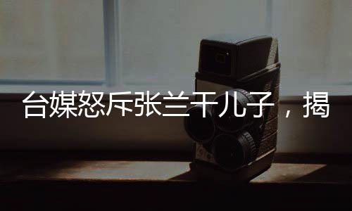 臺(tái)媒怒斥張?zhí)m干兒子，揭示事件背后的真相
