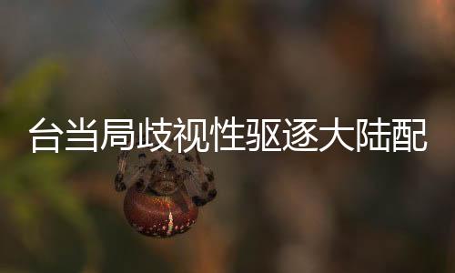 臺(tái)當(dāng)局歧視性驅(qū)逐大陸配偶，深度分析與觀察