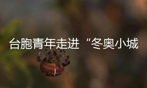 臺胞青年走進(jìn)“冬奧小城”崇禮  共享冰雪激情