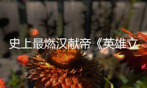 史上最燃漢獻(xiàn)帝《英雄立志傳：三國(guó)志》三興炎漢 逆天改命