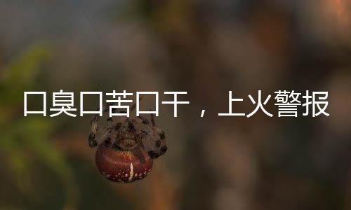 口臭口苦口干，上火警報(bào)，你的身體需要關(guān)注！