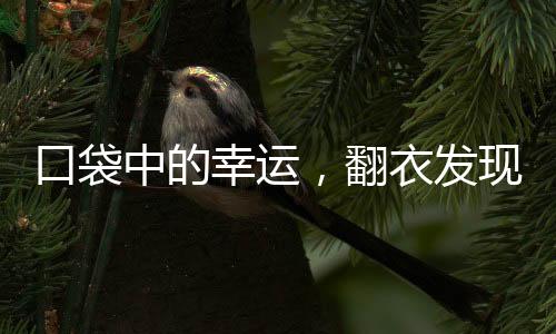口袋中的幸運(yùn)，翻衣發(fā)現(xiàn)巨額彩票，贏得1800萬(wàn)大獎(jiǎng)