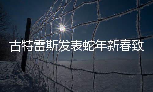古特雷斯發(fā)表蛇年新春致辭，共筑未來(lái)愿景，攜手迎向新的繁榮時(shí)代