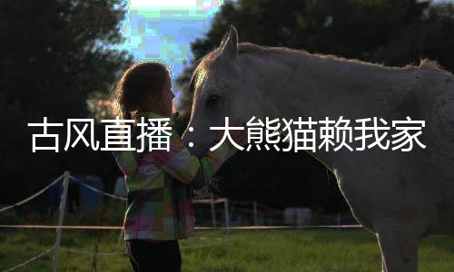 古風直播：大熊貓賴我家不走了！