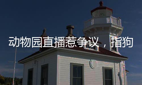 動(dòng)物園直播惹爭(zhēng)議，指狗為虎事件揭秘，園方回應(yīng)