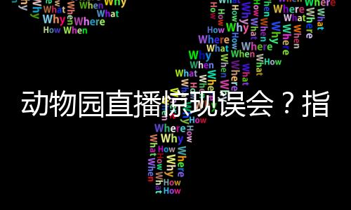 動物園直播驚現(xiàn)誤會？指狗為虎風(fēng)波揭秘，園方回應(yīng)