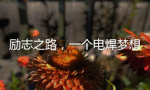 勵(lì)志之路，一個(gè)電焊夢想的光芒，零零后月入超萬的逆襲之路