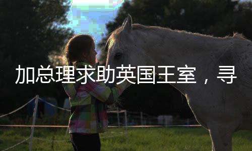 加總理求助英國王室，尋求國際支持與合作共贏