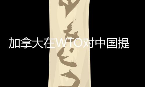 加拿大在WTO對中國提起申訴 中方回應(yīng)，全球貿(mào)易挑戰(zhàn)與應(yīng)對之道