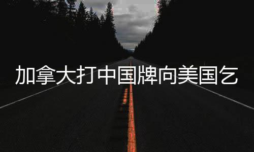 加拿大打中國(guó)牌向美國(guó)乞憐，背后的復(fù)雜因素與影響分析
