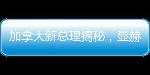 加拿大新總理揭秘，顯赫背景與未來展望