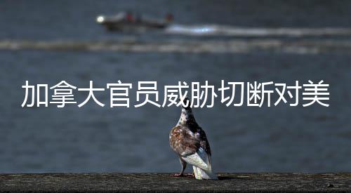 加拿大官員威脅切斷對美電力供應(yīng)，兩國能源關(guān)系面臨嚴(yán)峻挑戰(zhàn)