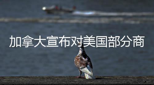 加拿大宣布對美國部分商品征收25%關(guān)稅，影響與后續(xù)分析
