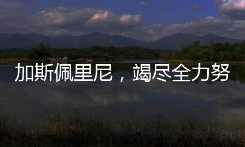 加斯佩里尼，竭盡全力努力贏得意甲冠軍