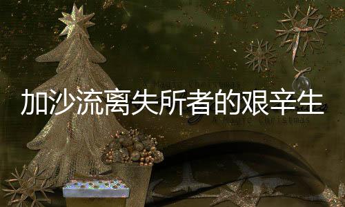 加沙流離失所者的艱辛生活，在帳篷里挖坑棲身