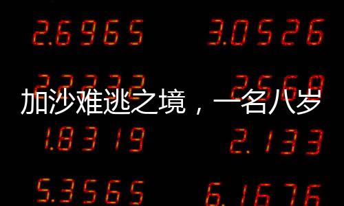 加沙難逃之境，一名八歲女孩的辛酸歷程