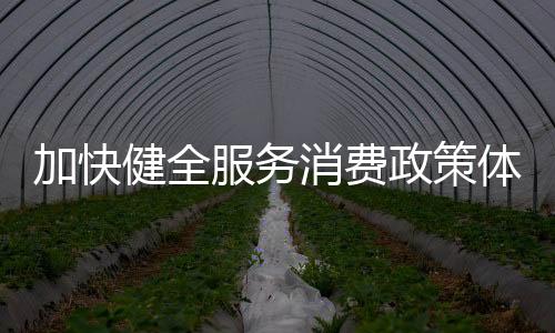 加快健全服務(wù)消費(fèi)政策體系