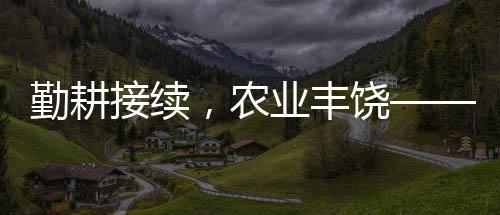勤耕接續(xù)，農(nóng)業(yè)豐饒——當(dāng)代農(nóng)村振興之路的深刻洞察