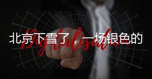 北京下雪了，一場銀色的冬之盛宴